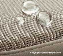 Fabric Stain Guard at TAS