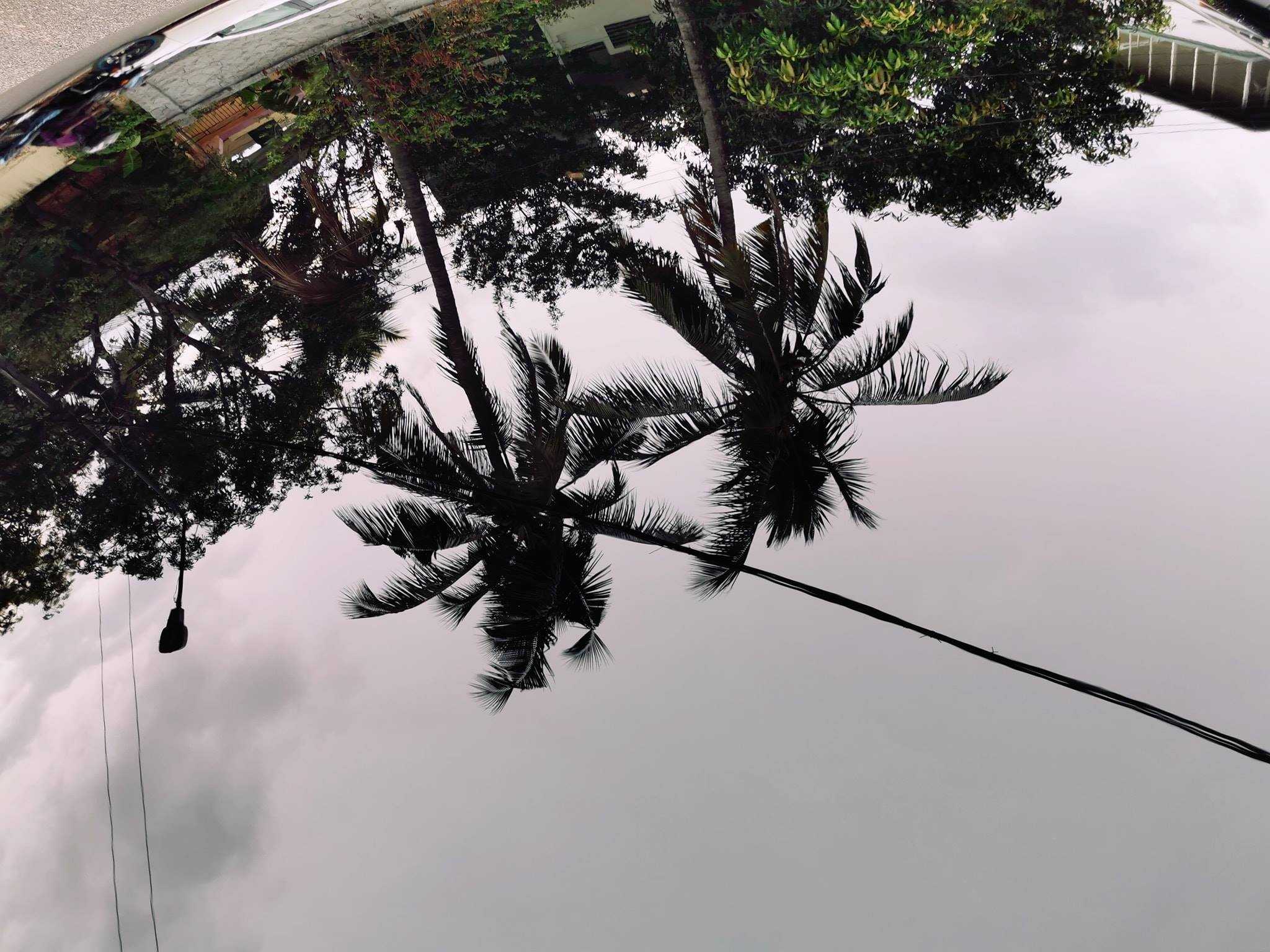 Detailing Mirror finish, Travancore Auto Spa, TAS